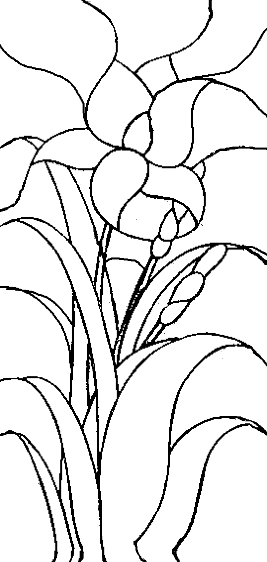Flower Pattern 3 for Vitrag